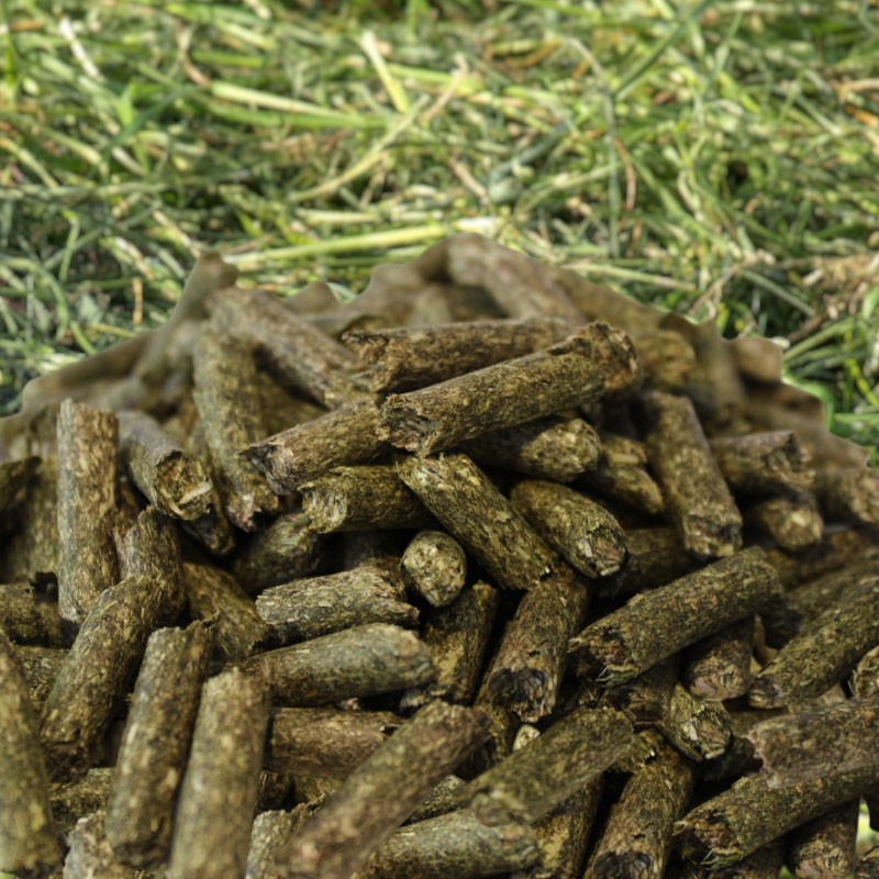 Agrar Pellets - Wir bringen Futter in Form - Futterpellets